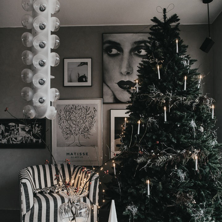 Christmas tree - Spruce - 250 cm - 5