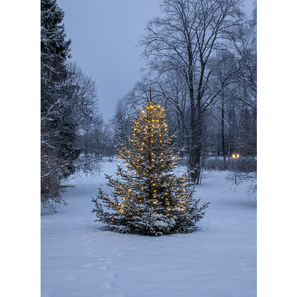String lights - Christmas tree lights - Dew Drop - 200 cm - 7