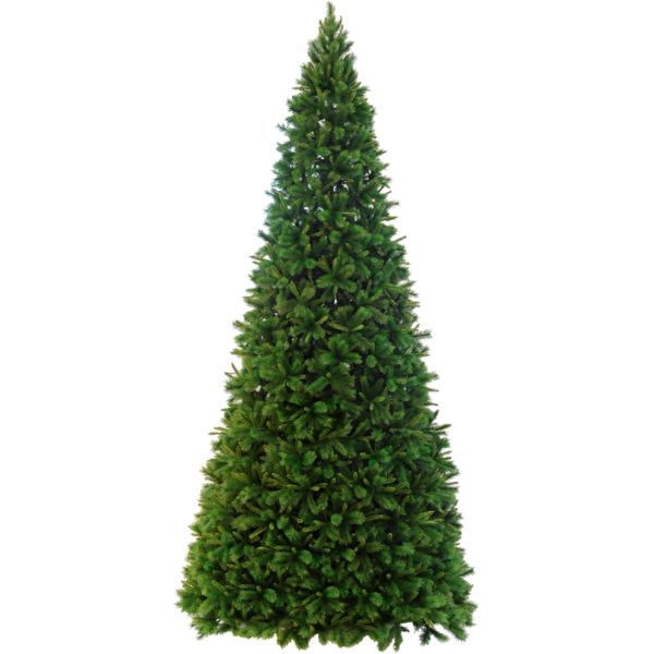 Christmas tree - Spruce - 500 cm - 3