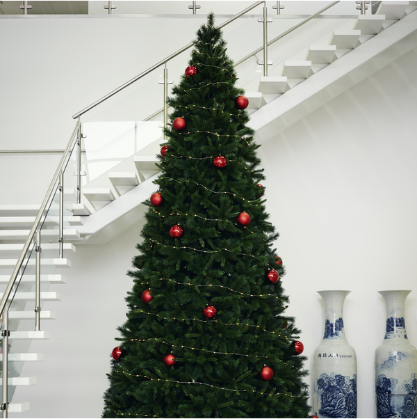Christmas tree - Spruce - 500 cm - 2