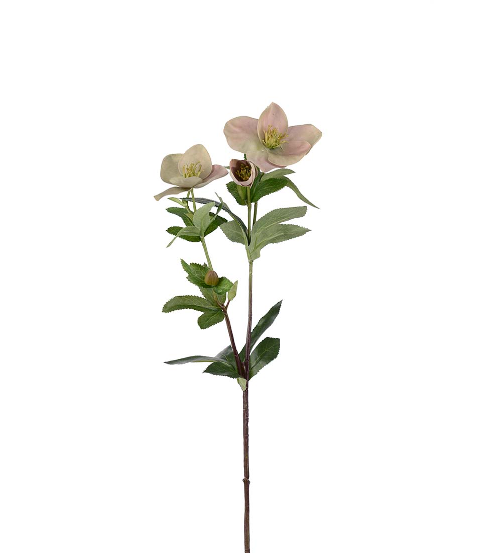 Christmas rose 63 cm - Green - 2