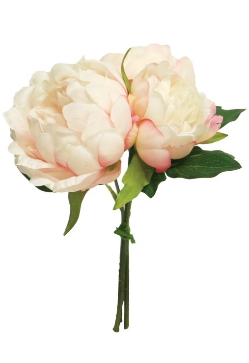 Pion Bukett - Pionbukett - Rosa - 20 cm - 2