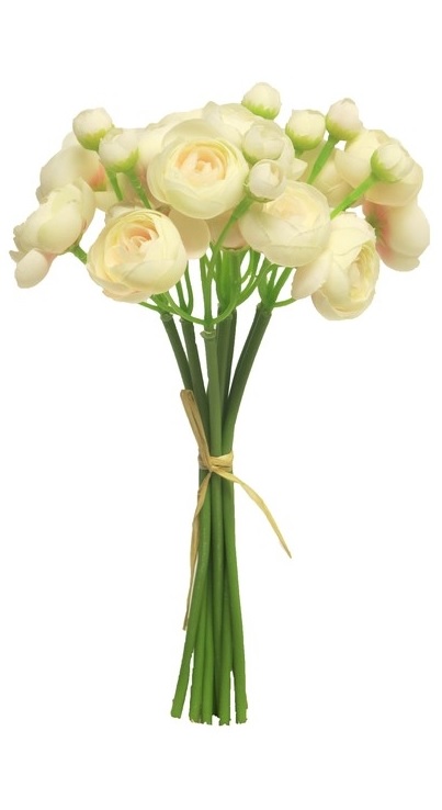 Ranunculus - Bouquet - Cream White - 27 cm - 2