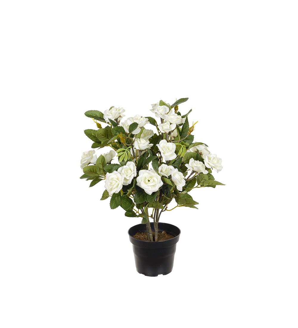 Ros i plastkruka - Vit - 30 cm - 2