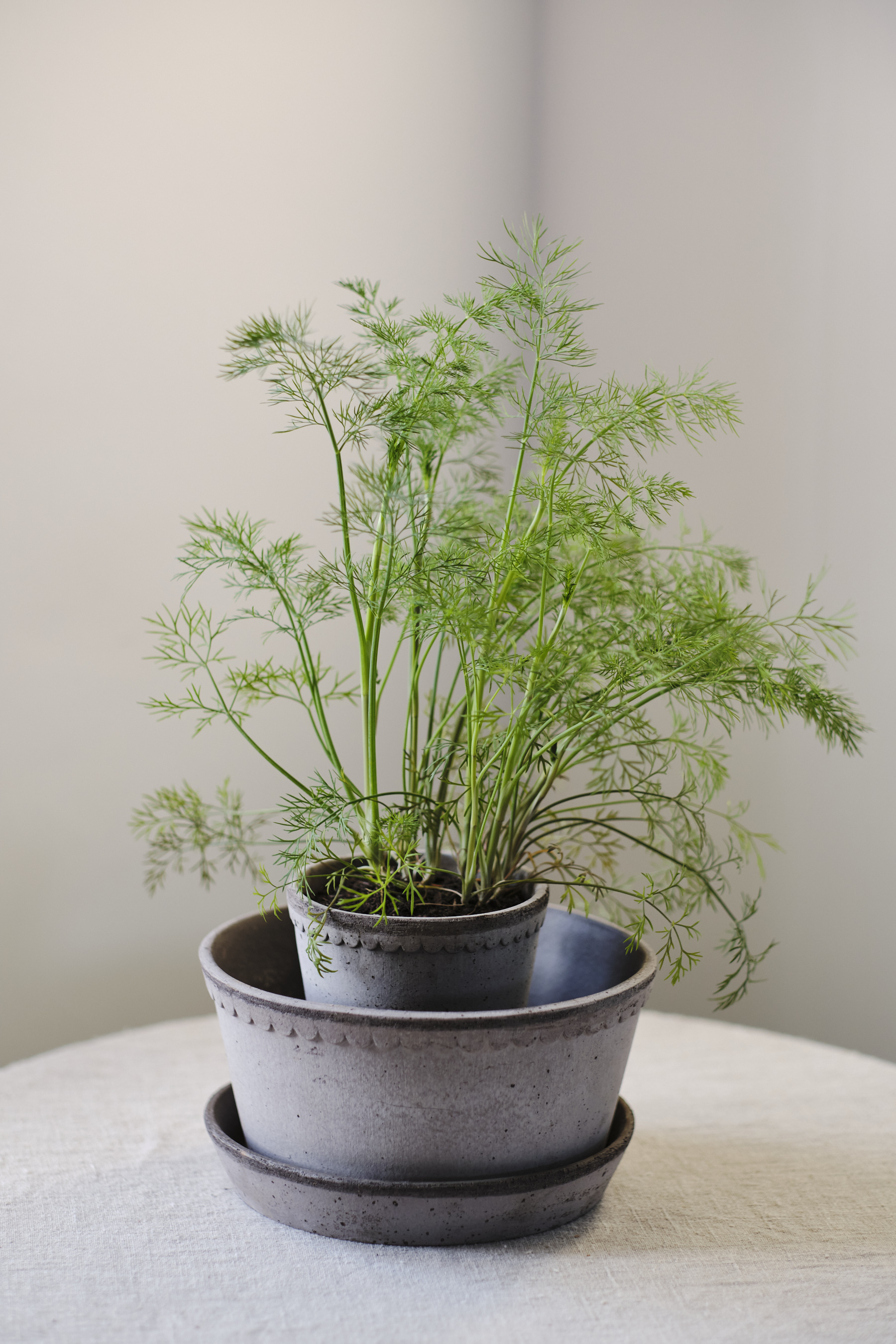 Copenhagen pot - 14.5 cm - Grey - Bergs Potter - 9