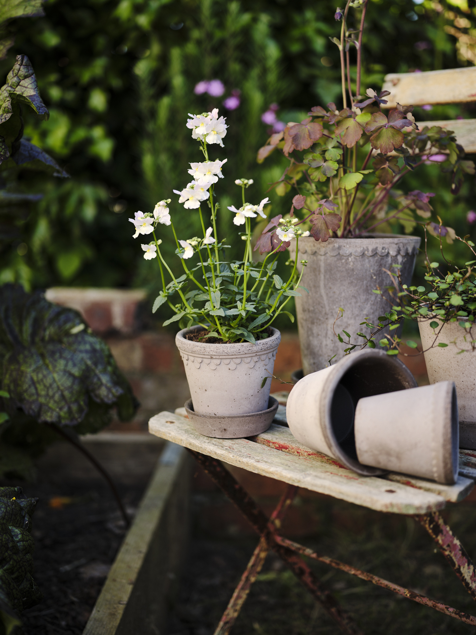 Copenhagen pot - 14.5 cm - Grey - Bergs Potter - 8