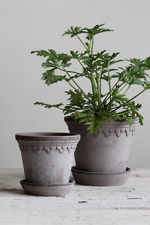 Bergs Potter Kruka Köpenhamn Ø18 cm - Grå - Rustik Terracotta  - 4
