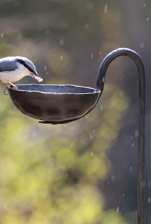 Marshall holder - Candlestick - Candle holder - Bird feeder - 6