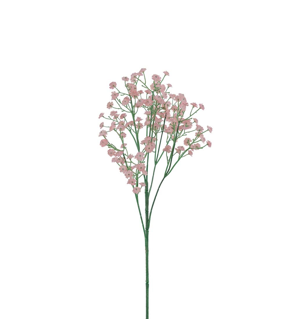 Baby's breath - Sprig - Stem - Pink - 60 cm - 4