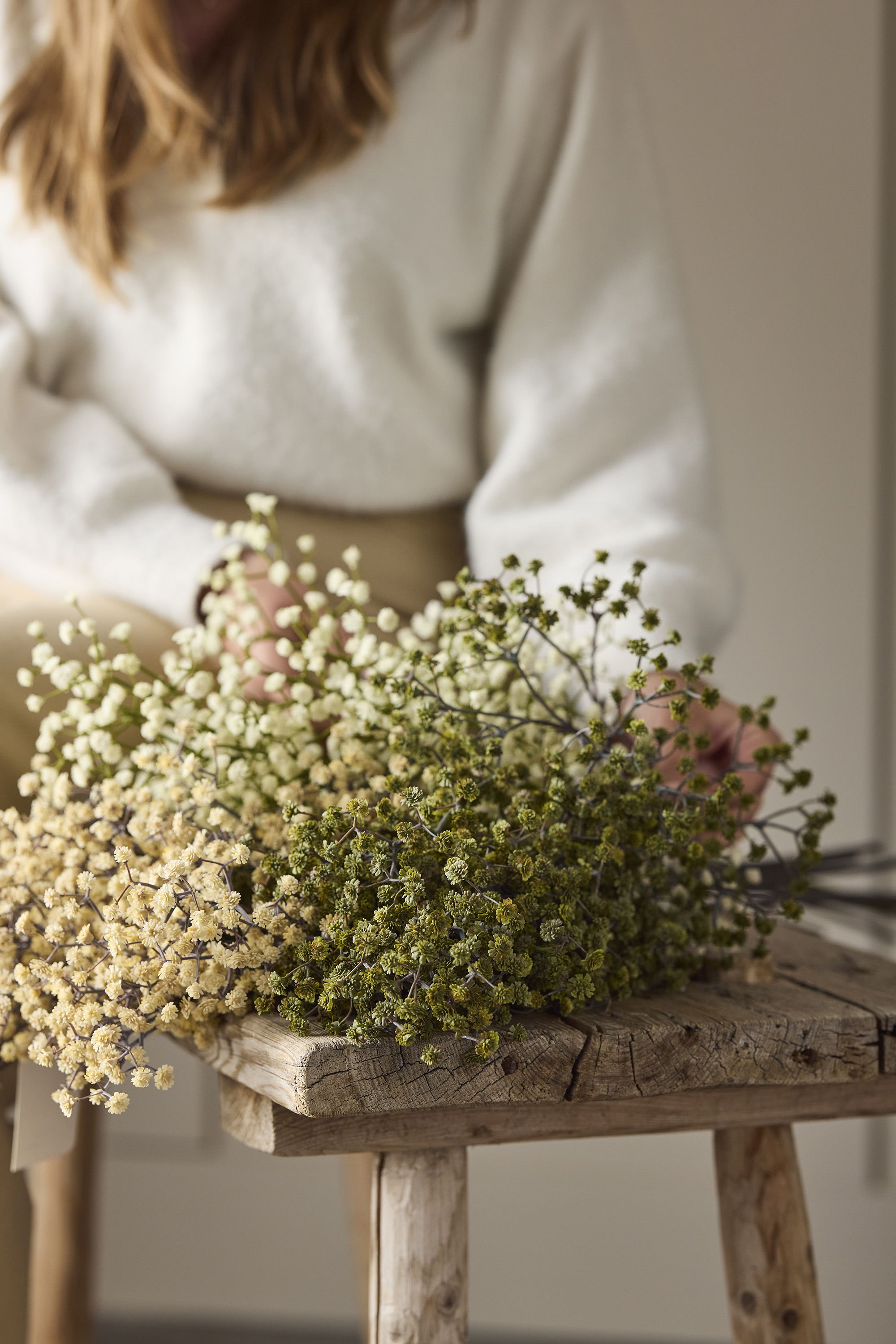 Baby's breath - Sprig - Stem - Pink - 60 cm - 7