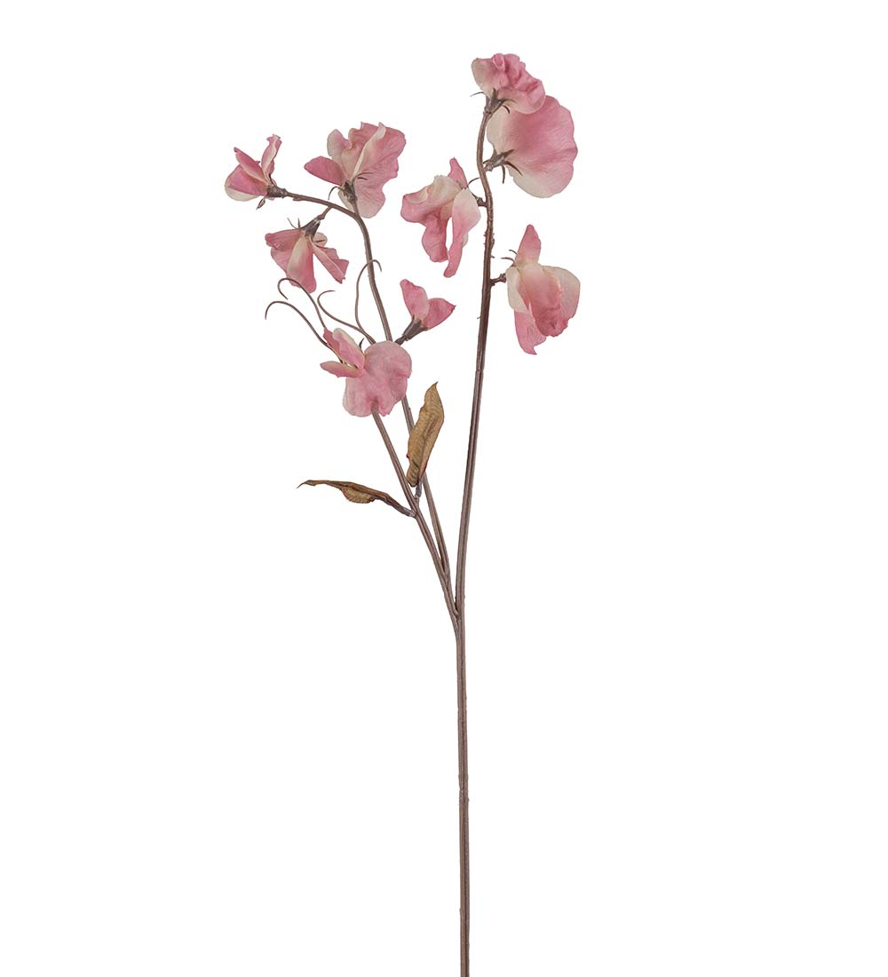 Sweet Pea Stem Pink 55 cm - 3