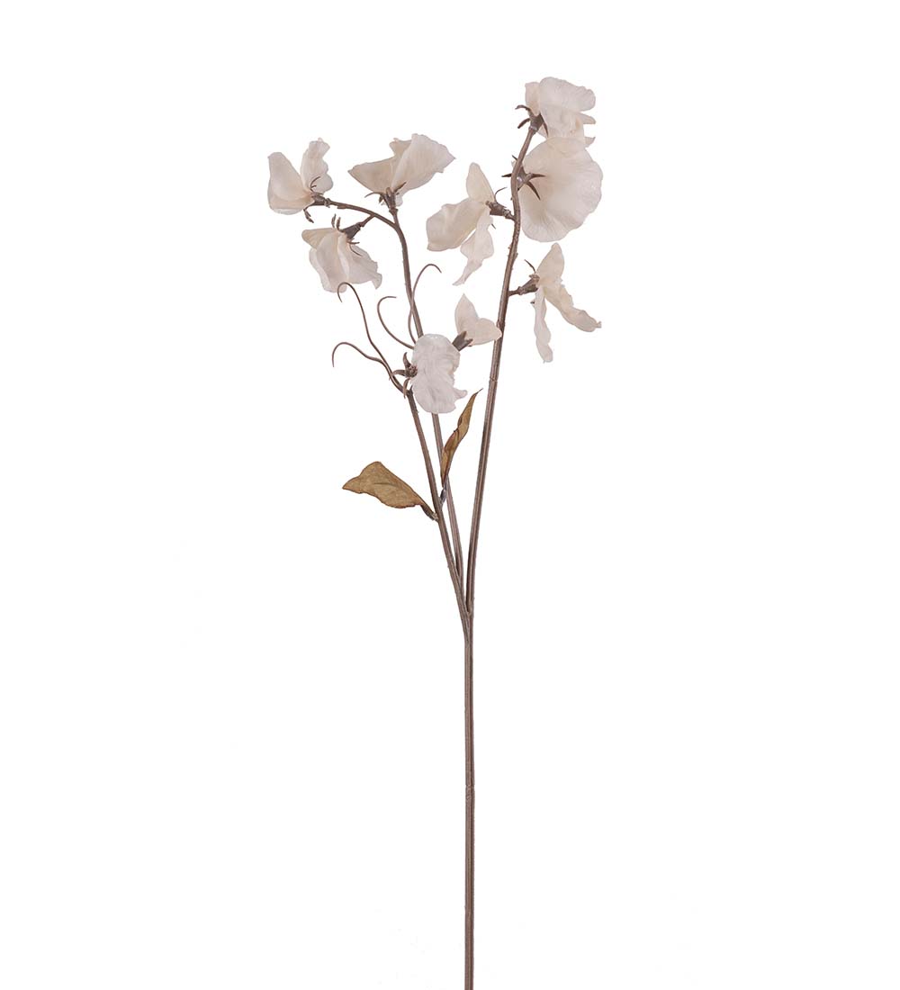 Luktärt Stjälk Vit 55 cm - 3