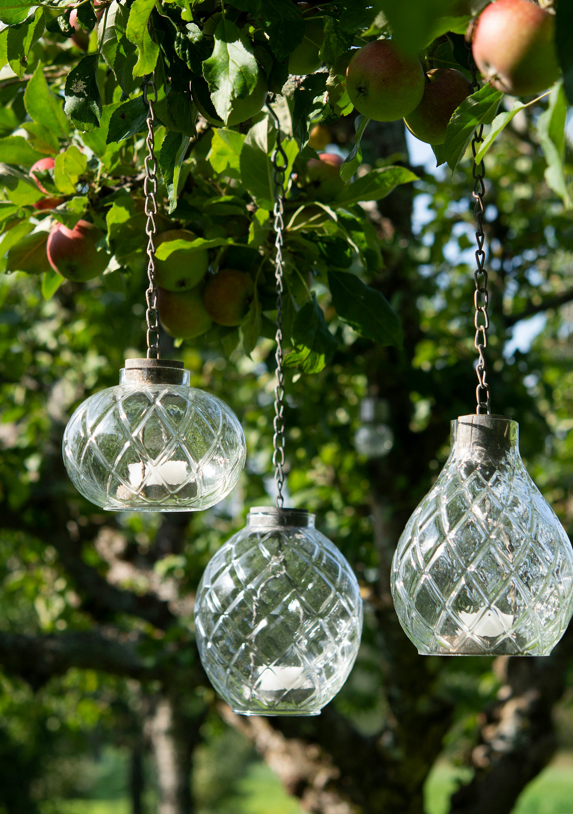 Lantern/Glass Haley Chain 13x18/50 cm - 2