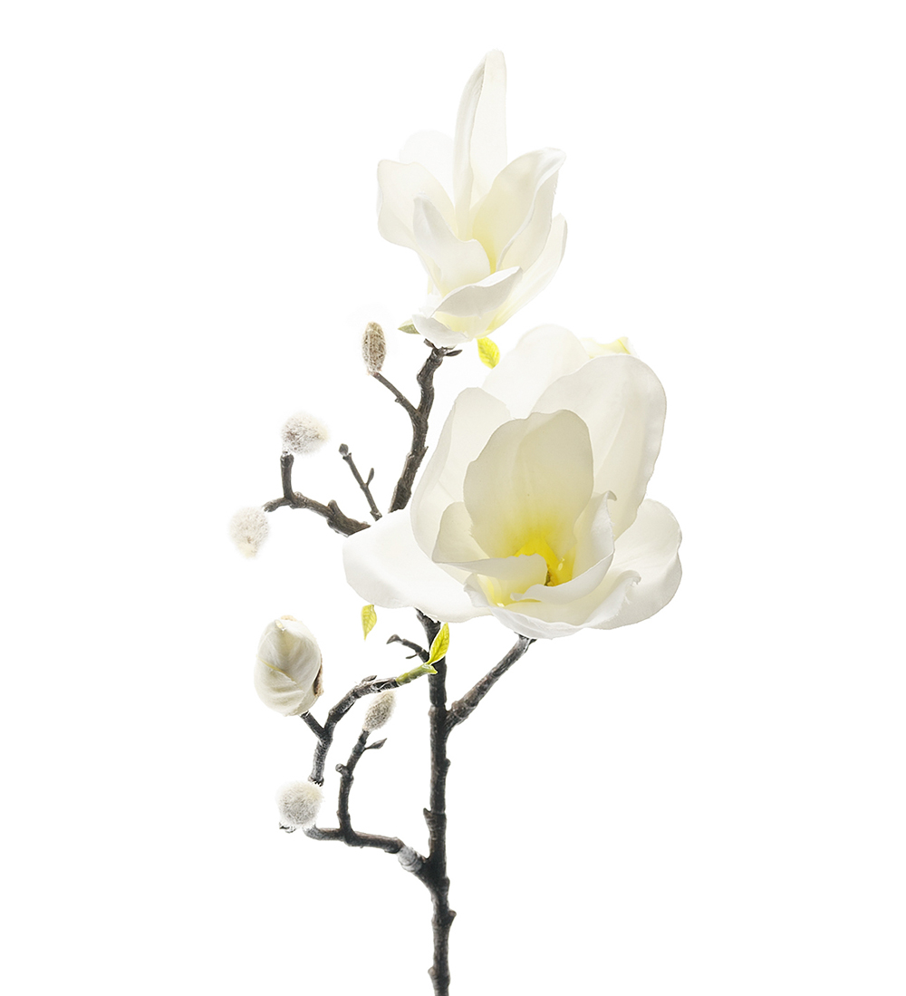 Magnolia Branch White 60 cm - 3