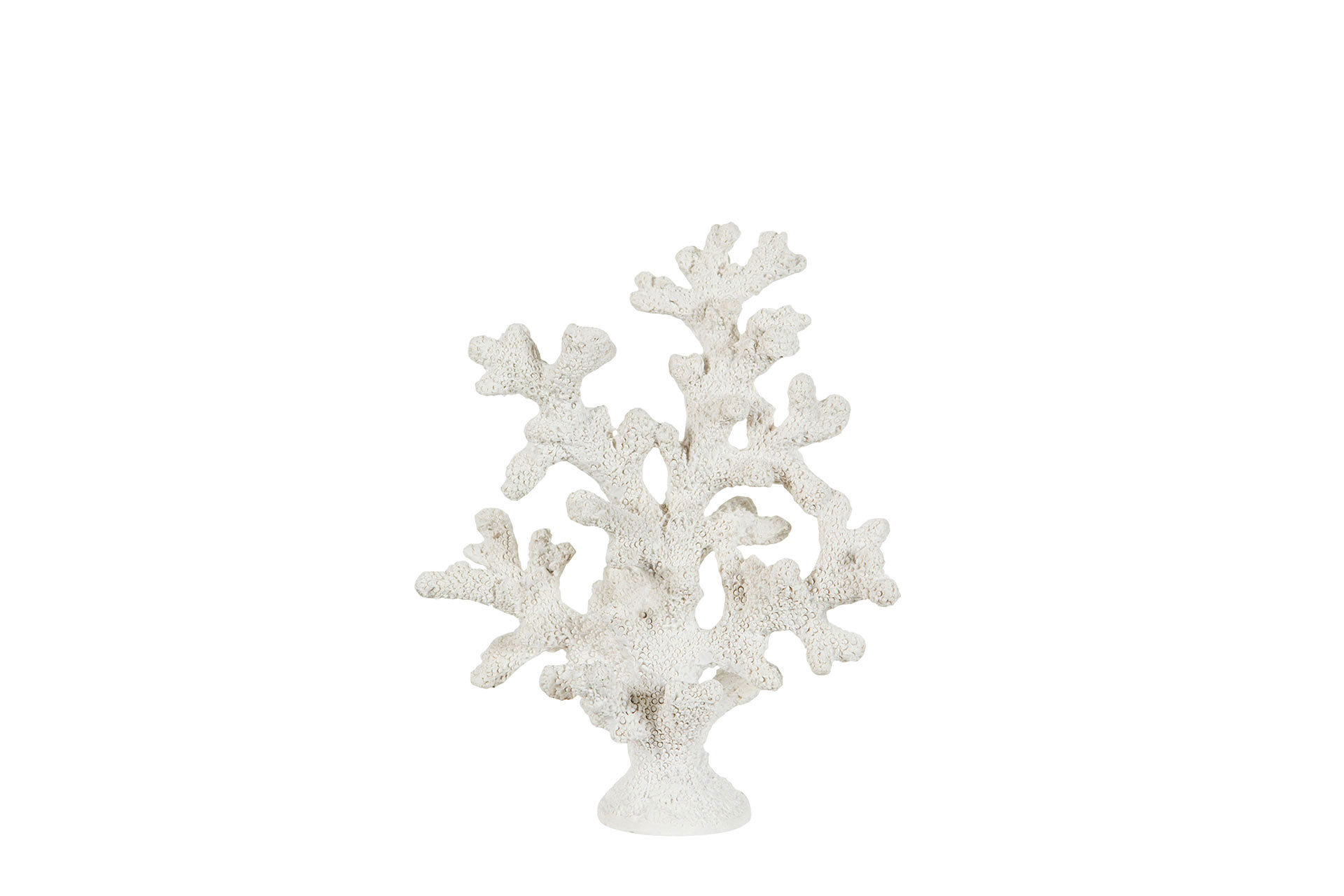 Coral Poly White 8x16x20 cm - 2