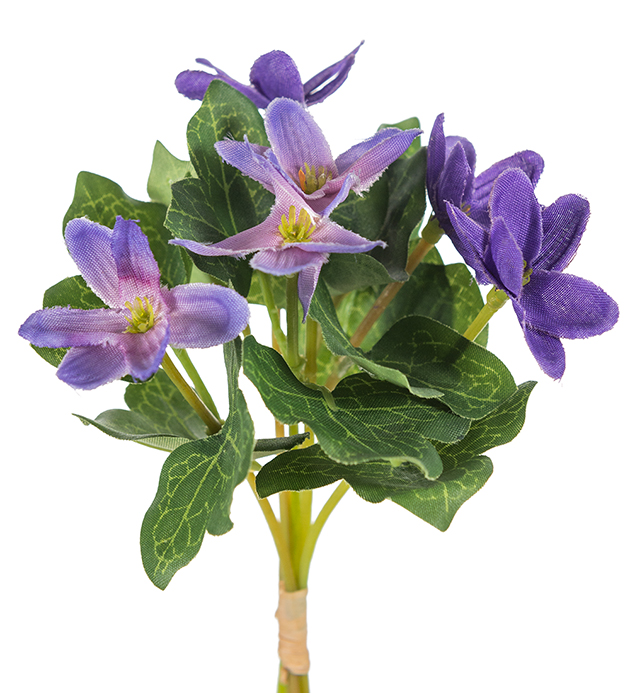 Blåsippa Bukett - Anemon - Blå - 18 cm - 3