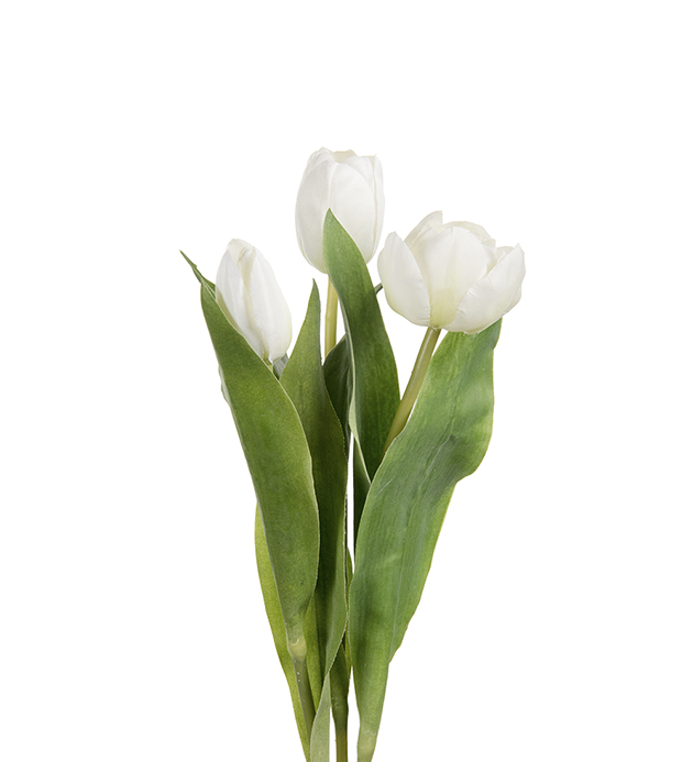 Tulip mix - 36 cm - White - 3-pack - 2