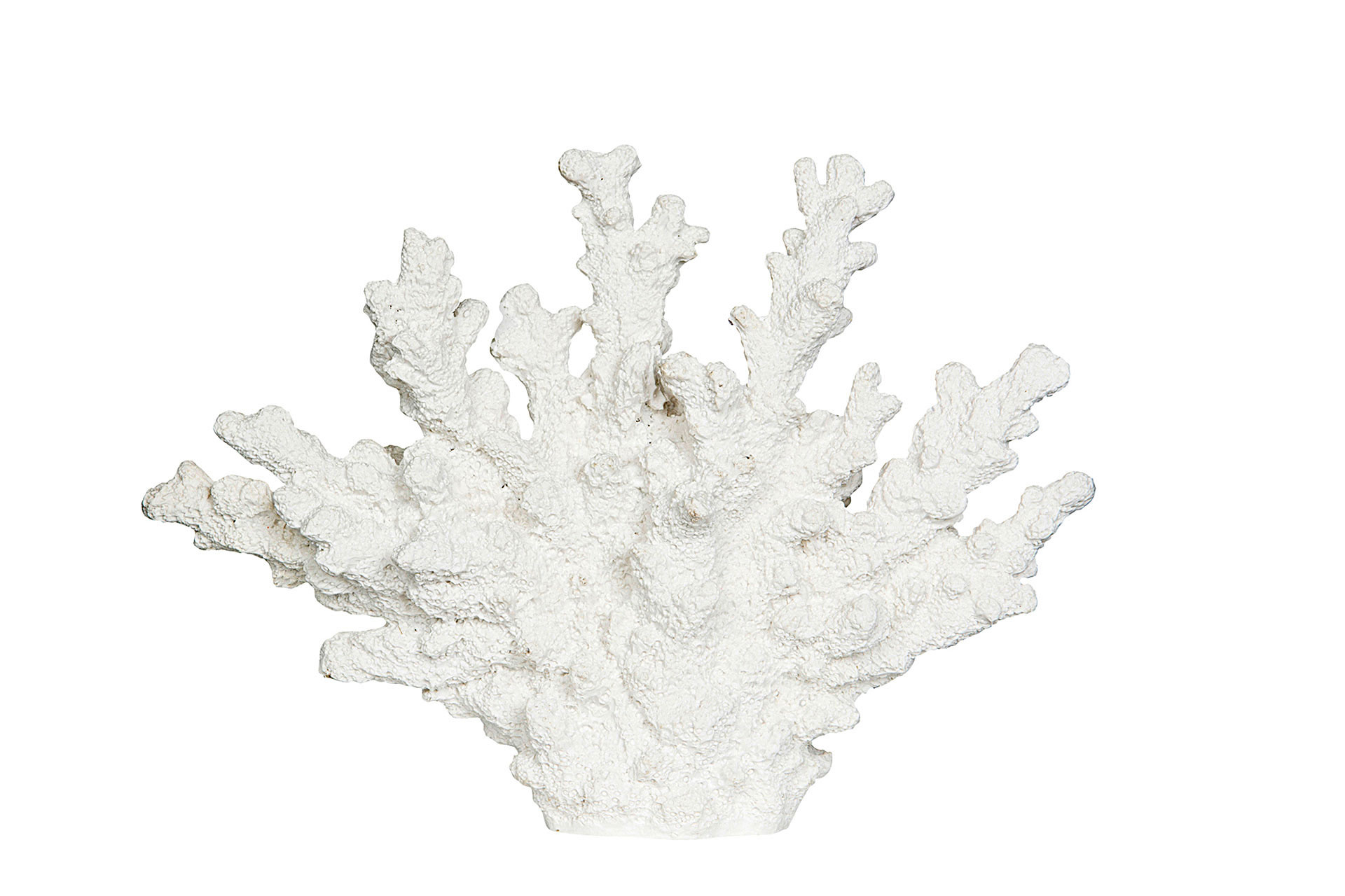 Coral Poly White 26x6x18.5 cm - 2