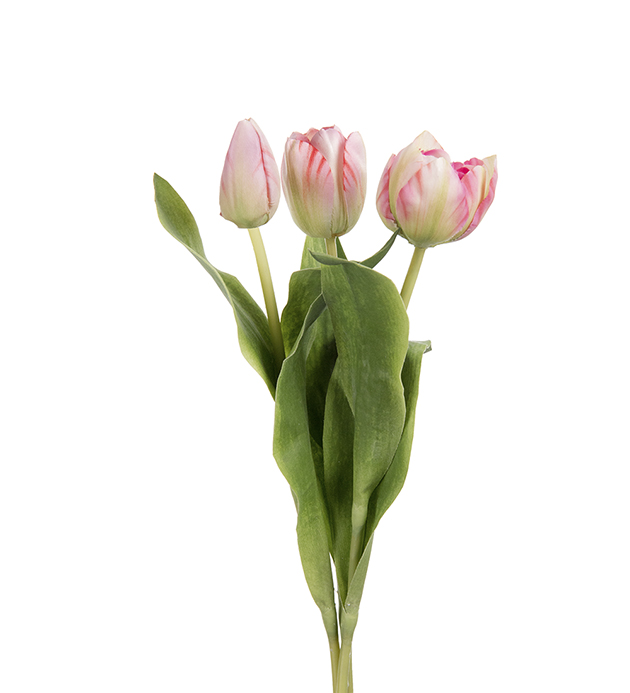 Tulip mix - 3-pack - Pink/Mottled - 36 cm - 2