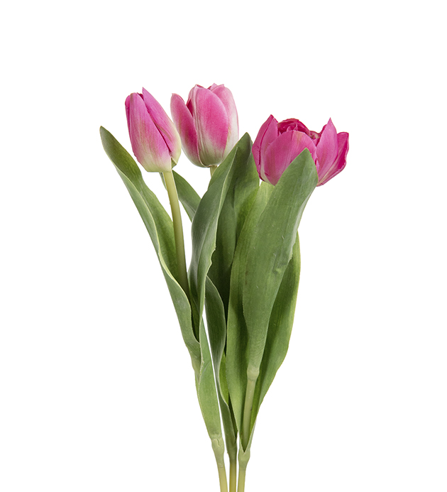 Tulpan mix - 36 cm - 3-pack - 3