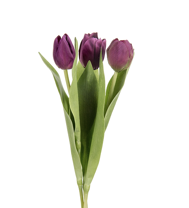 Tulip mix - 36 cm - 3-pack - 3
