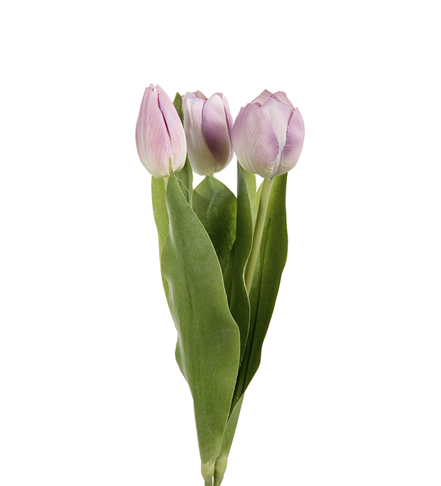 Tulpan mix - Lila - 36 cm - 3-pack - 3
