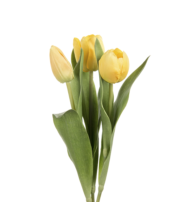 Tulpan Gul - 36 cm - 3-pack - 3