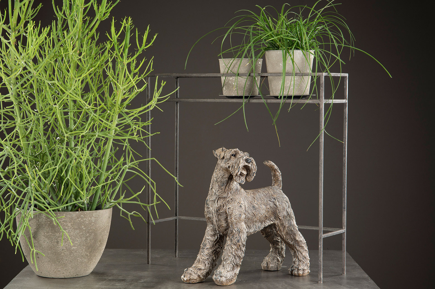 Flower table - Table - Pedestal - Metal Grey 69x20x70 cm - 6