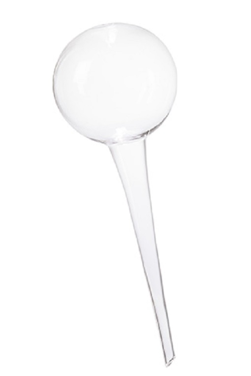 Bevattningsglas - Glas för självbevattning  -  26 xØ9 cm - 3