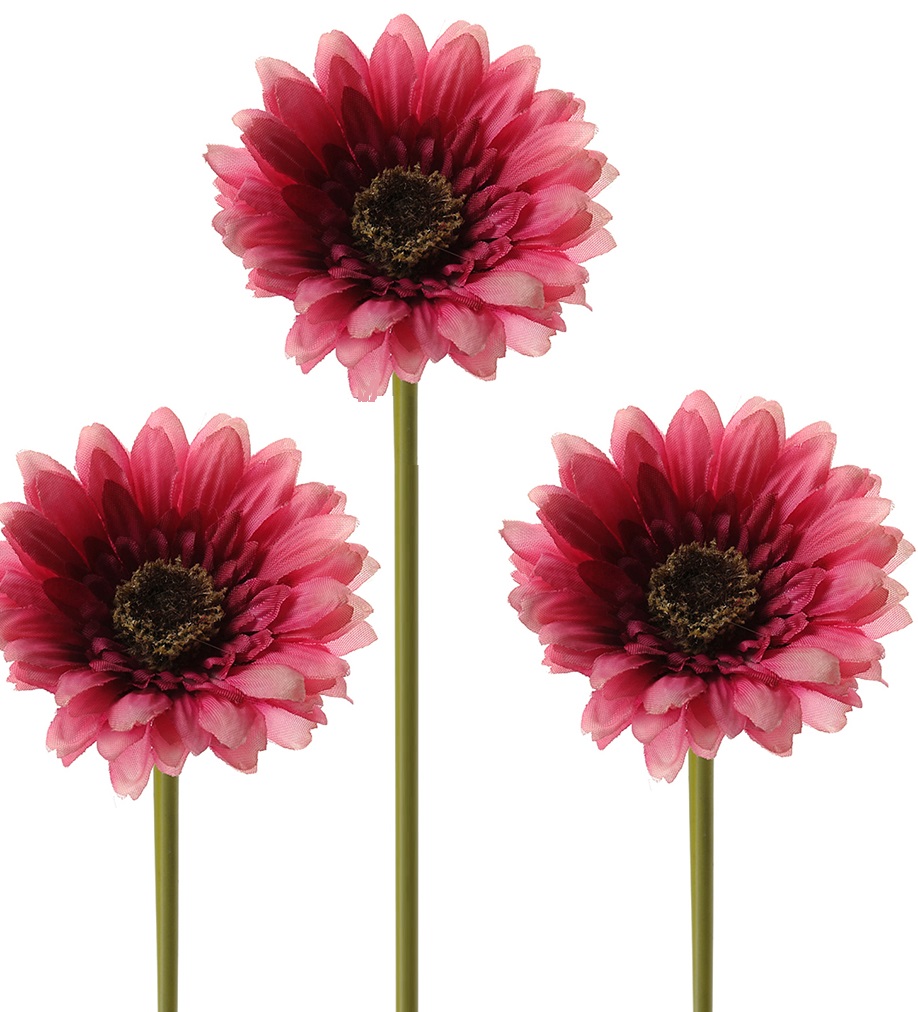 Gerbera - 25 cm - 3-pack - 3