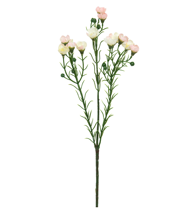Vaxblomma - Rosa - 40 cm - 2