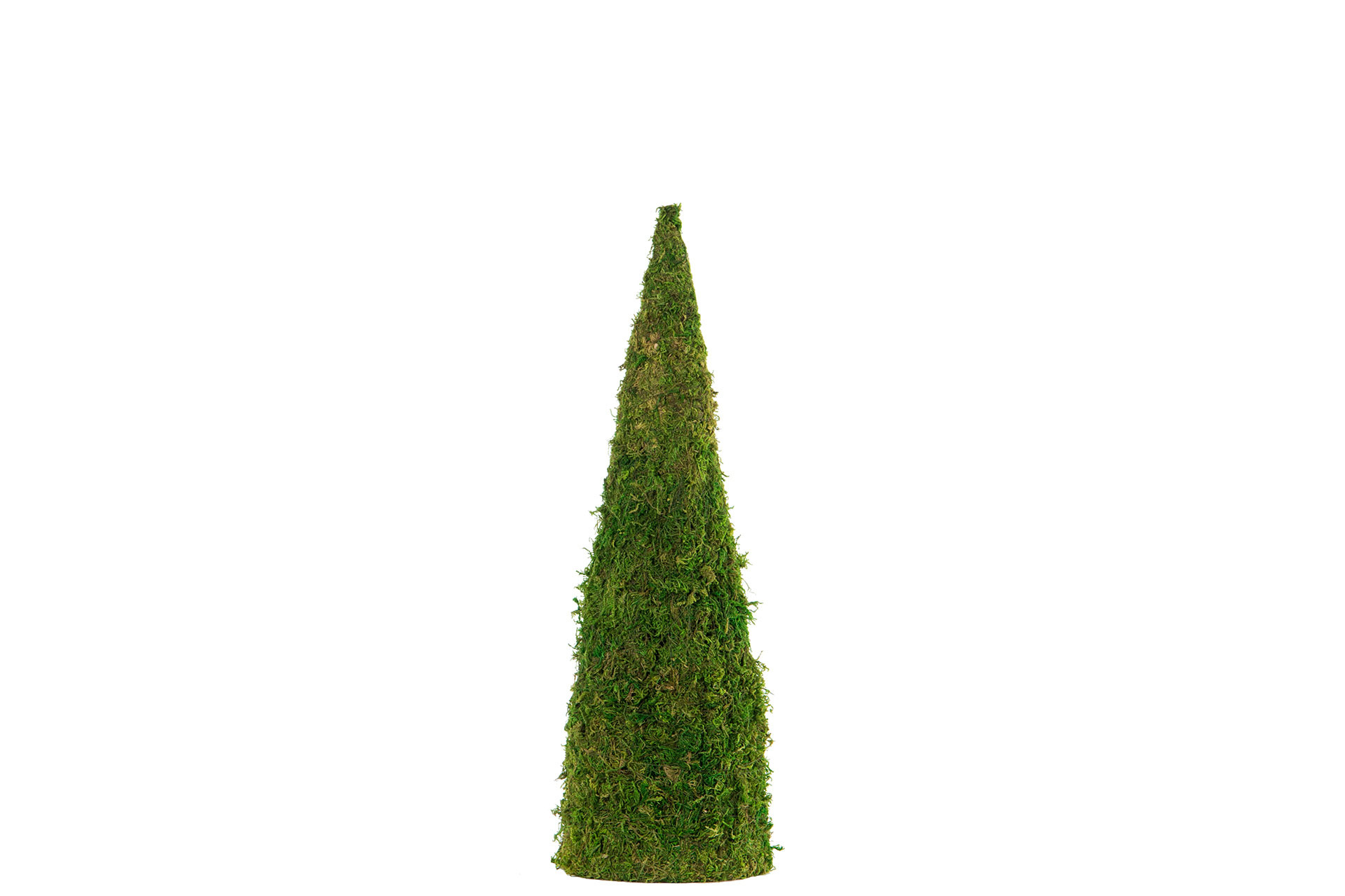 Mosskon - 15x50 cm - 3