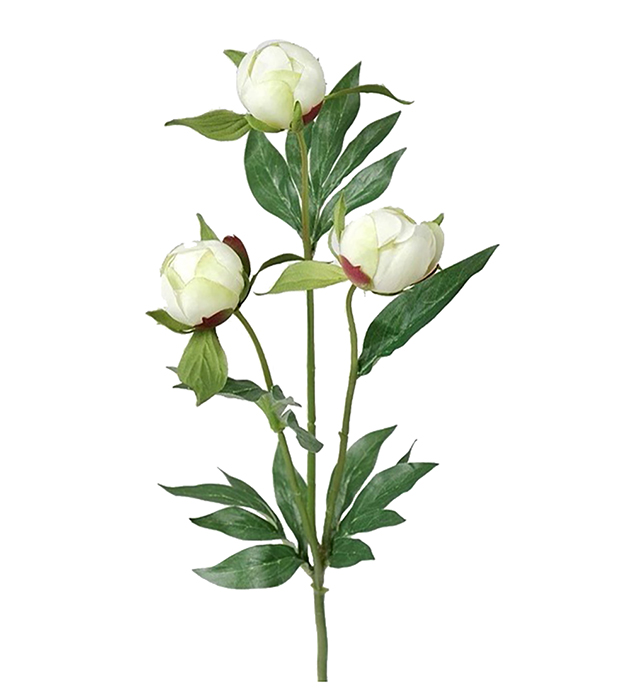 Peony - White - 45 cm - 2
