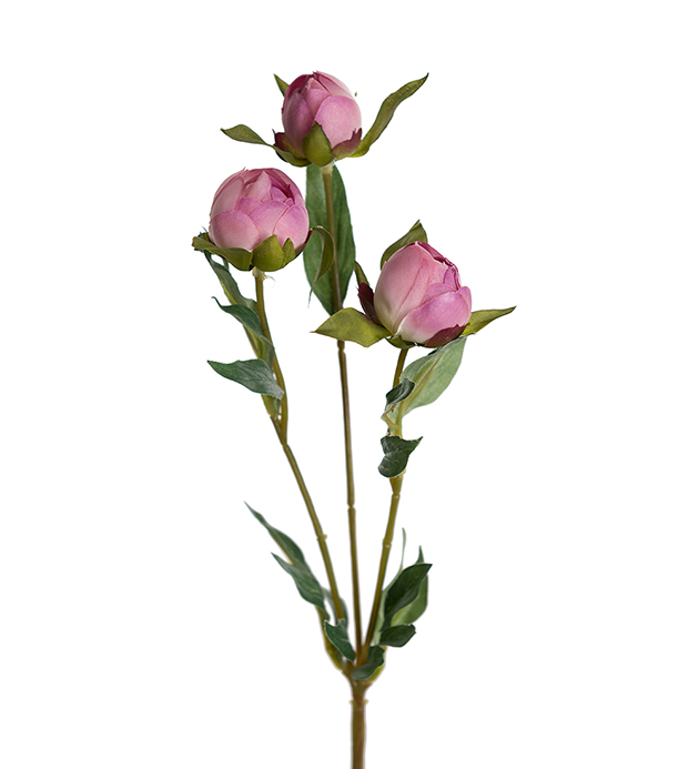 Pion - Rosa - 45 cm - 3