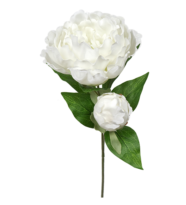 Pion med knopp - Vit - 35 cm - 3