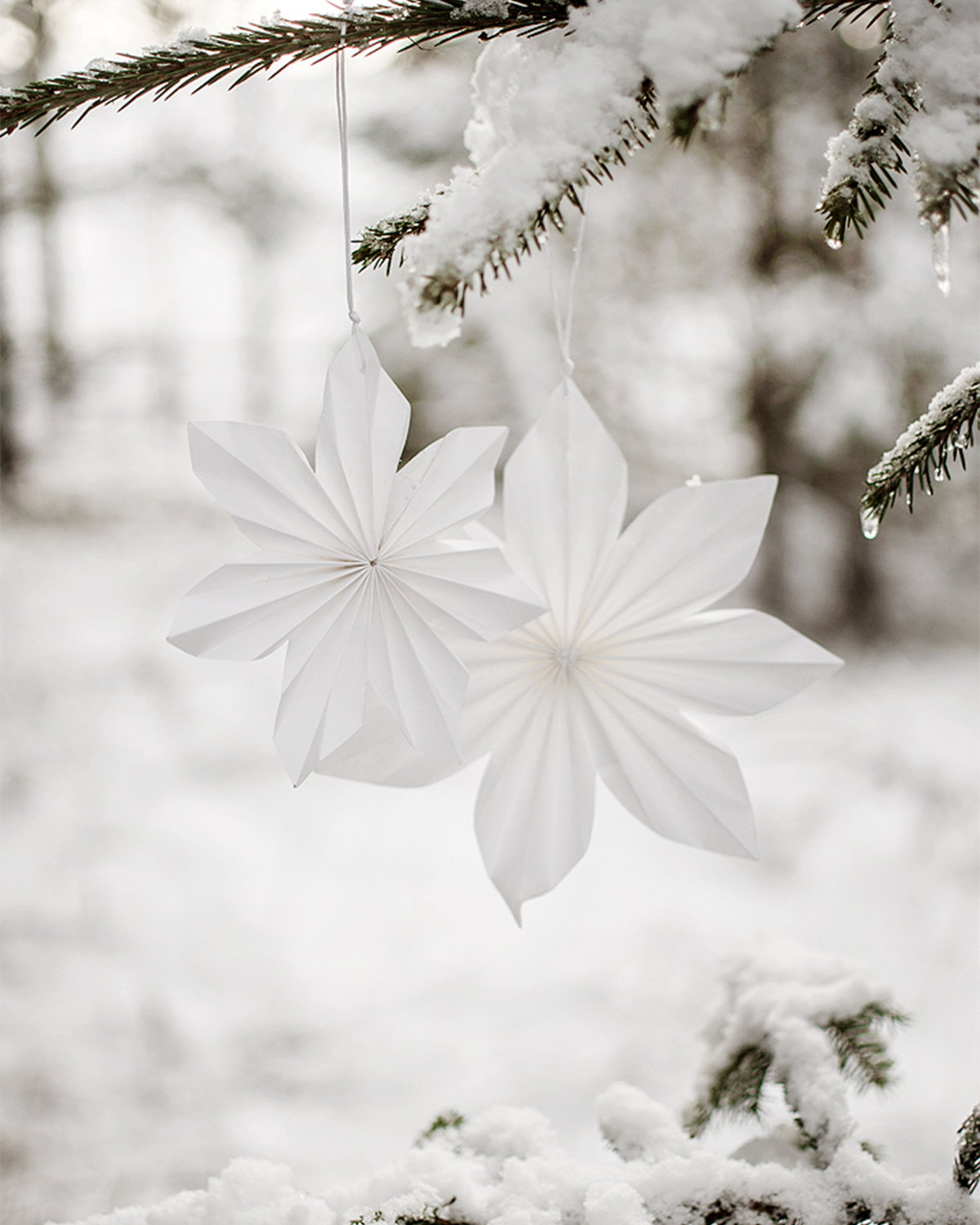 White Advent star/star - Paper - Paper star - 20 cm - 6