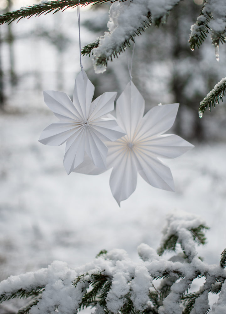 White Advent star/star - Paper - Paper star - 20 cm - 2