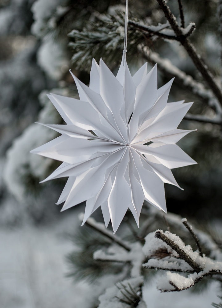 White Advent star/star - Paper - Paper star - 20 cm - 3