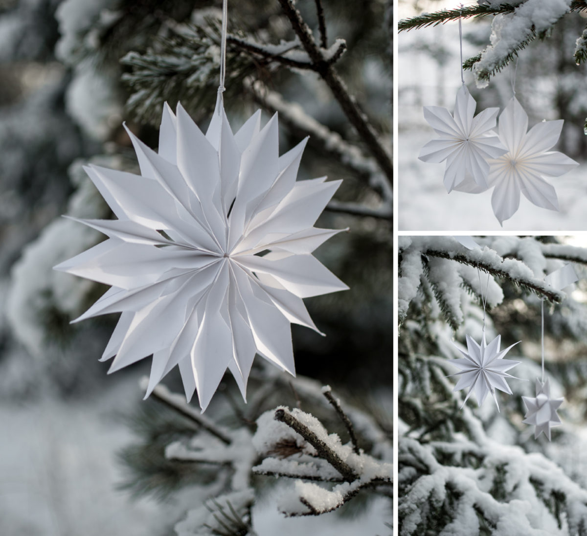 White Advent star/star - Paper - Paper star - 20 cm - 5
