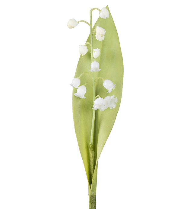 Liljekonvalj - 21 cm - 1 kvist/blomma - 2