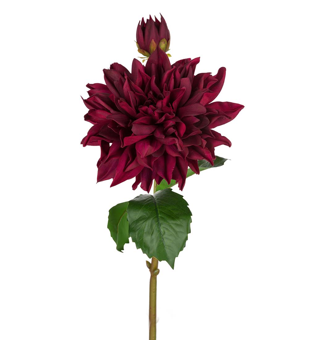 Dahlia Kvist- Burgundy - 70 cm - Real Touch - 3