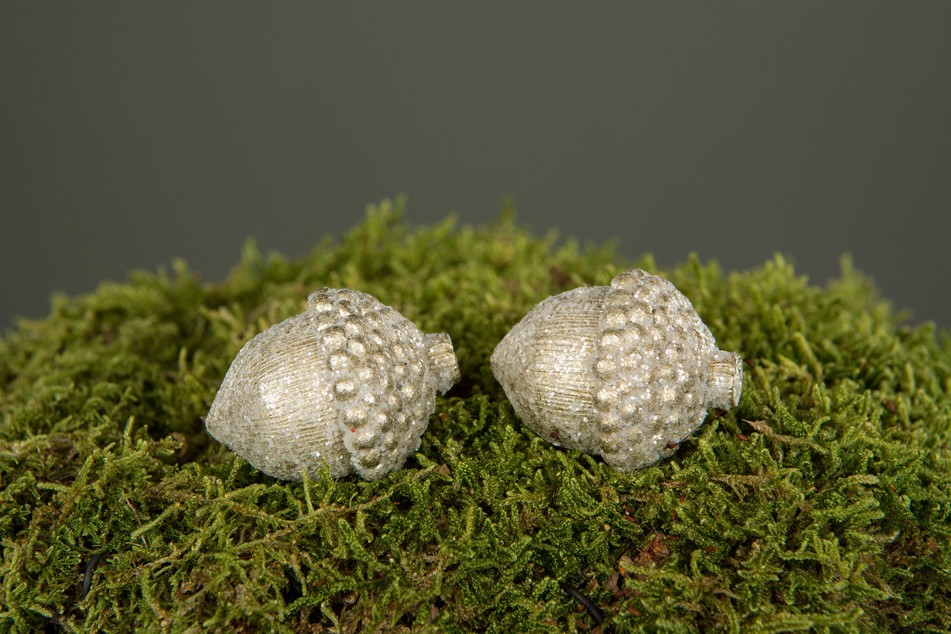 Acorn/Stick Champ/Shimmer Poly 3.5 cm - 2