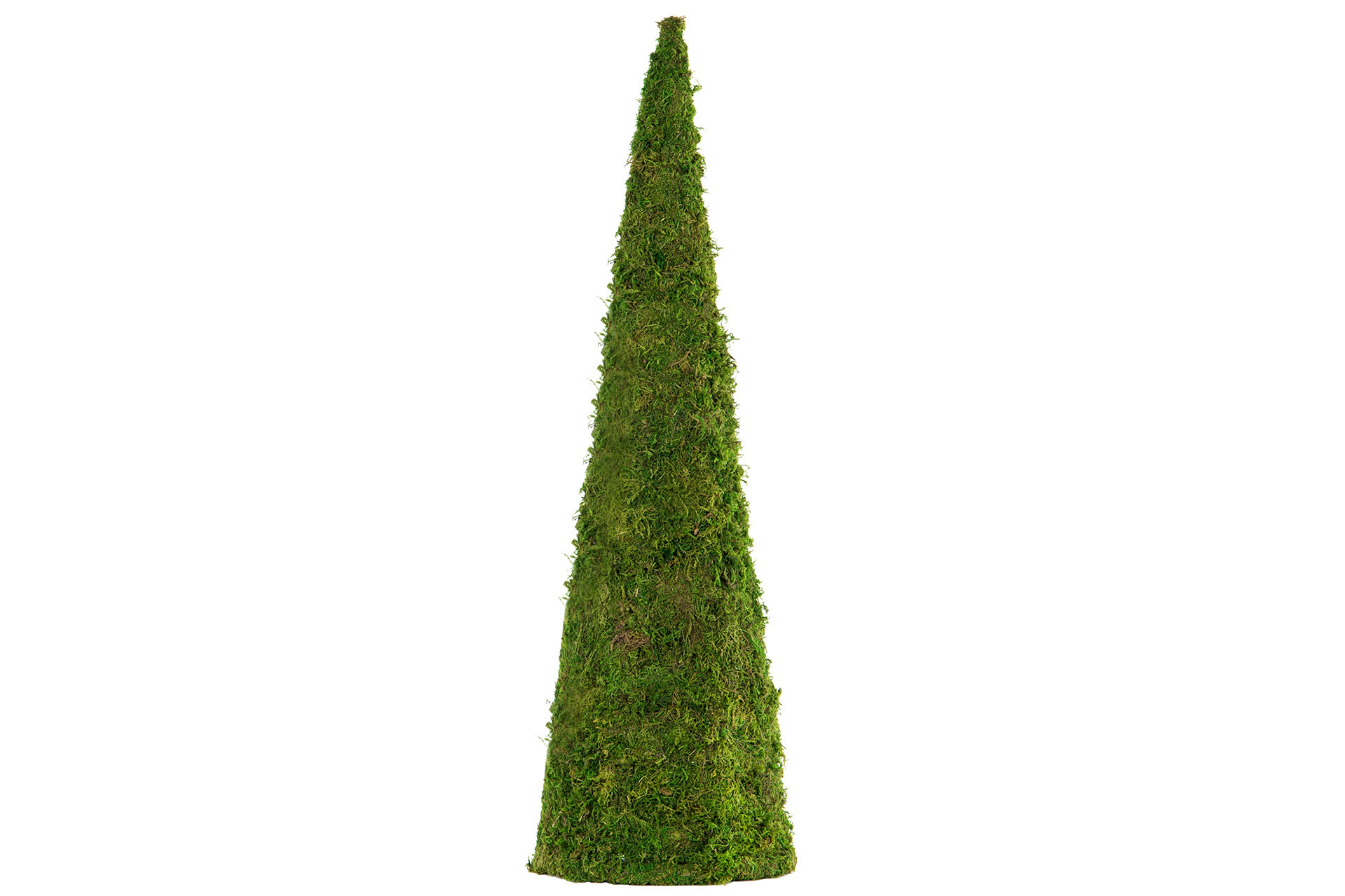 Moss mat - 20x70 cm - 4