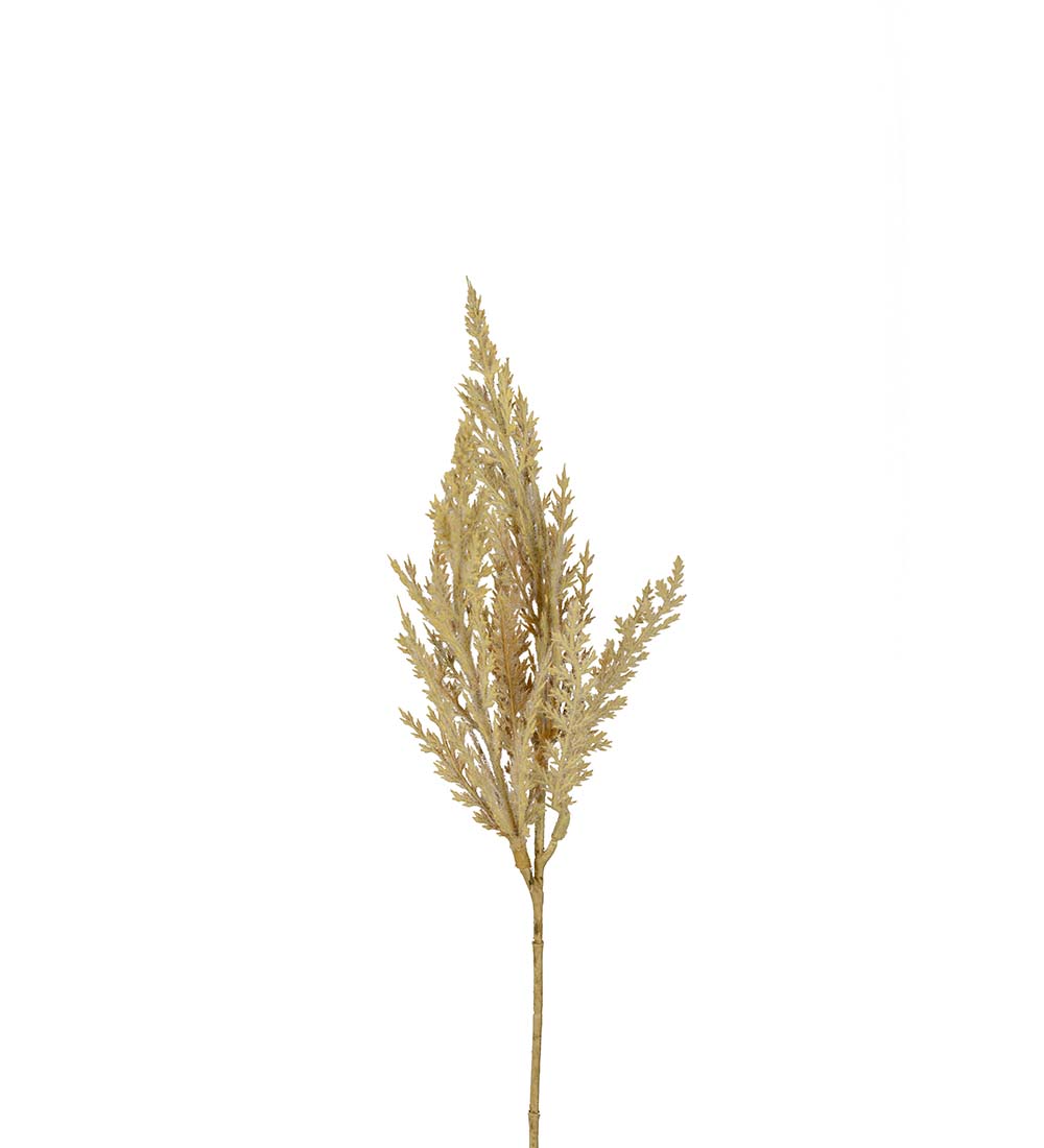 Pampasgräs - Natur - 35 cm - 4