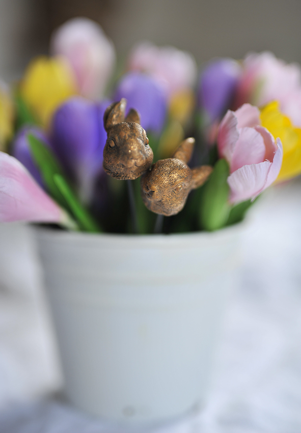 Crocus - Rosa - 22 cm - 3