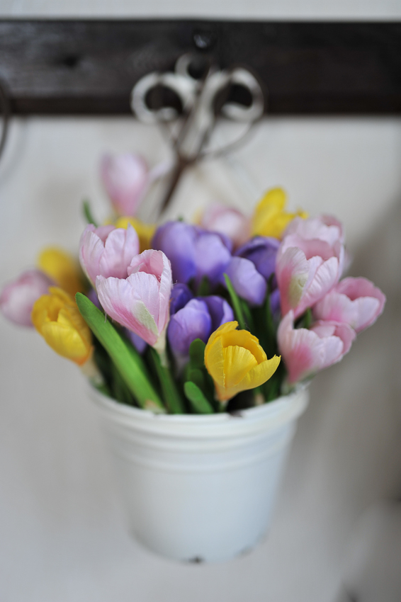 Crocus - Rosa - 22 cm - 2
