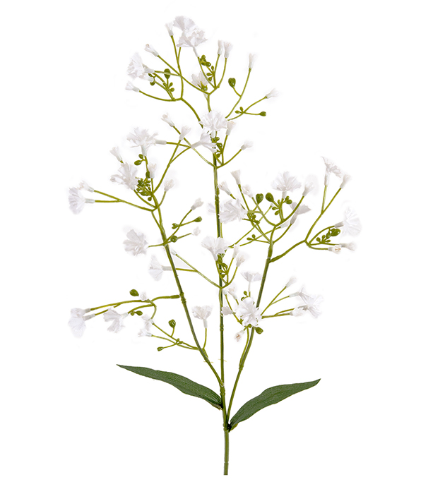 Brudslöja - Kvist - Vit - 55 cm - 5