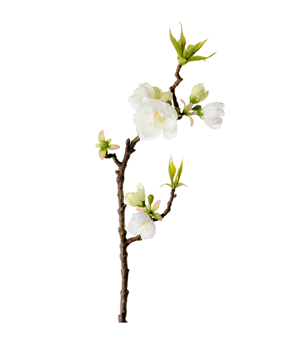 Apple blossom - Apple blossom - Twig - White - 40 cm - 2