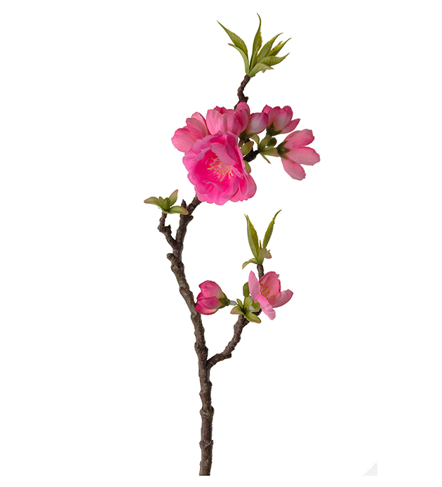 Apple Blossom - Twig - Pink - 40 cm - 3