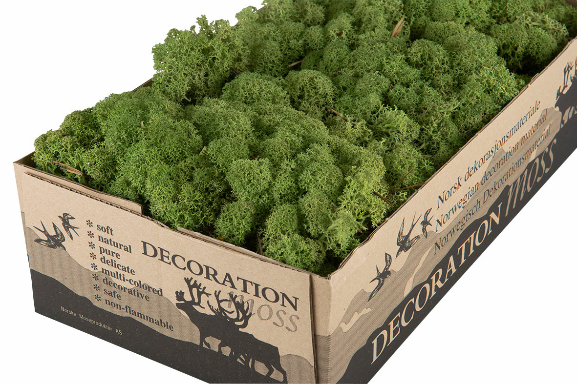 Reindeer Moss/Moss Medium Green Flame Retardant - 500 grams